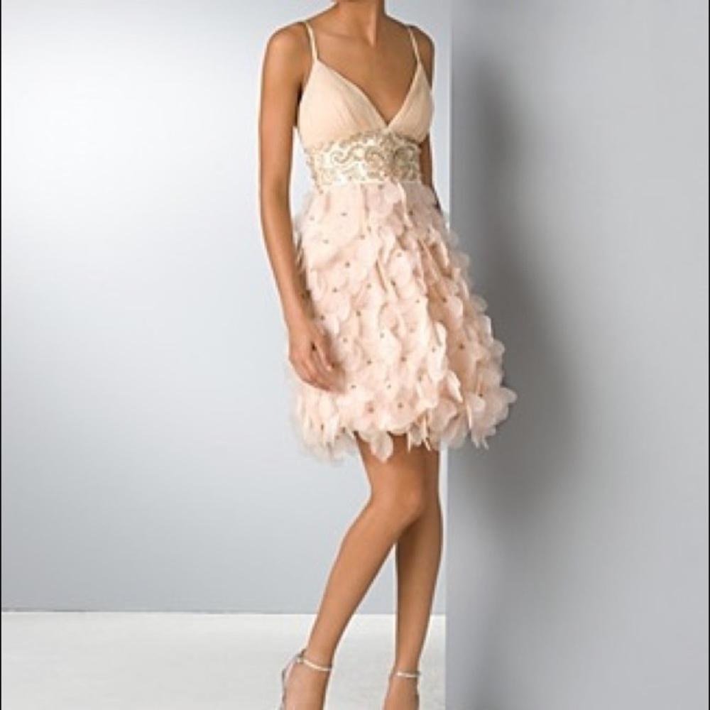 Amazing Sue Wong Petal dress