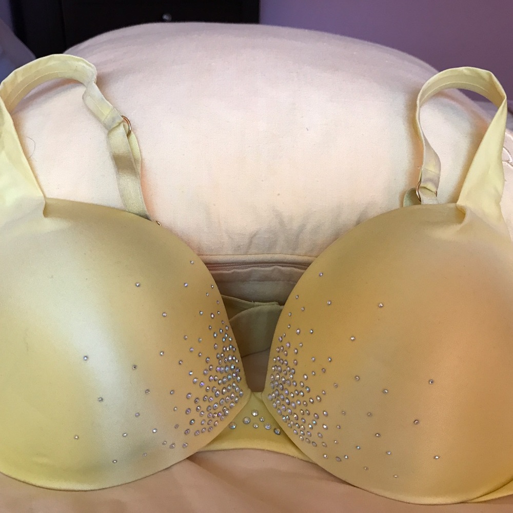 Victoria's Secret Plunge Push-Up Bra