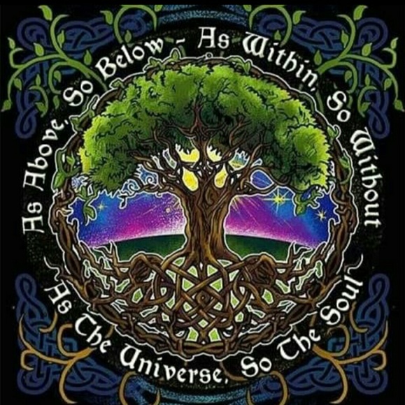 Meet your Posher, Jane Gump - Picture 6 of 7