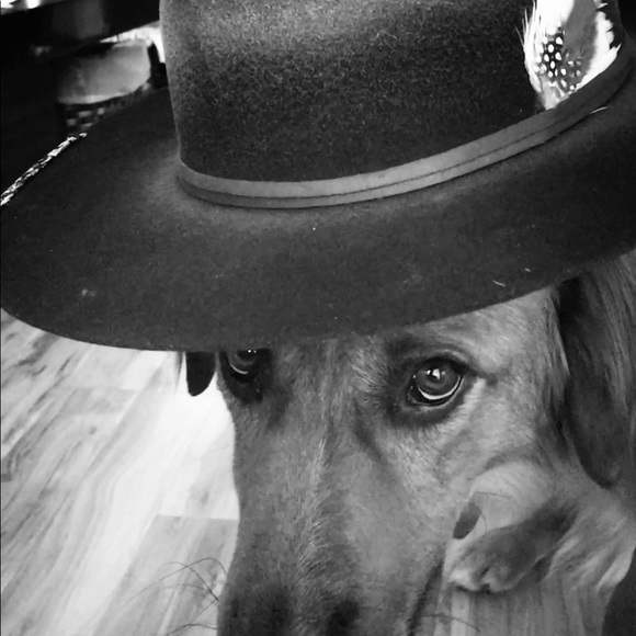 Meet your Posher, Matt - Picture 3 of 3