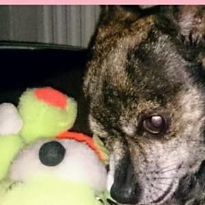 Meet your Posher, Jesse