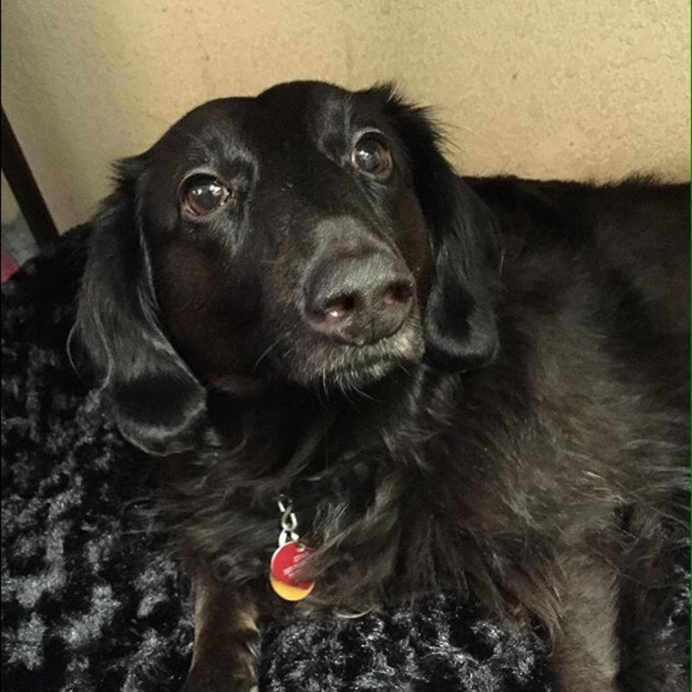 Meet your Posher, Lexi