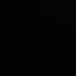 Meet your Posher, Audrey