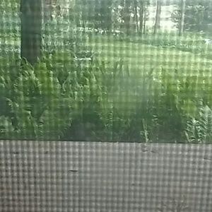 Meet your Posher, Betsy