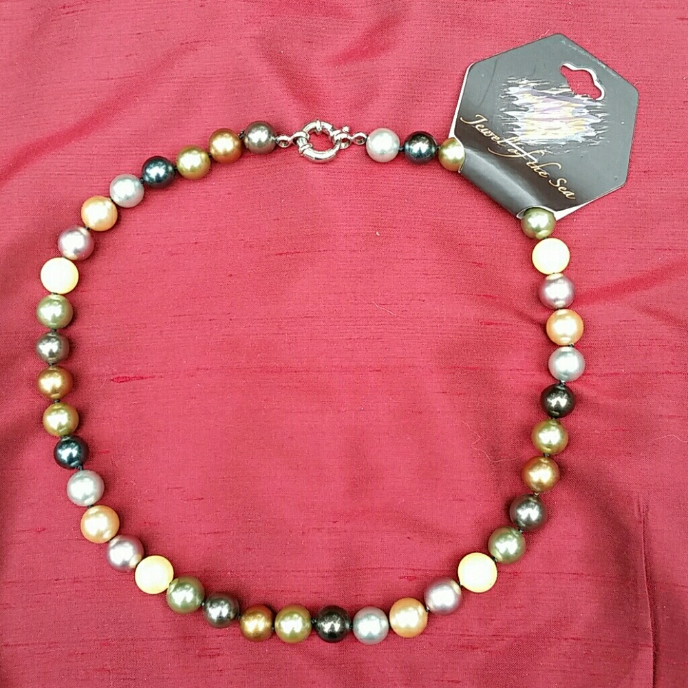 Gorgeous Abalone Shell Necklace!