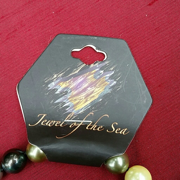 Gorgeous Abalone Shell Necklace! - Picture 2 of 2