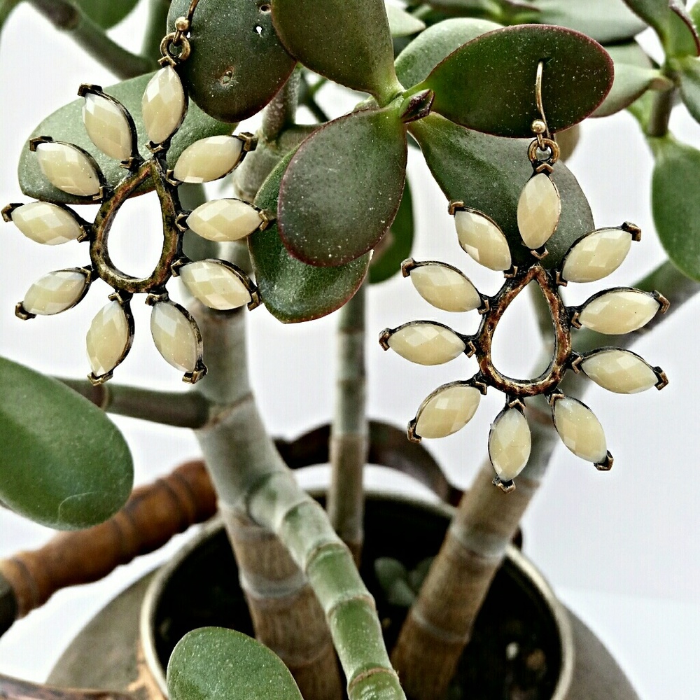 French Wire Earrings
