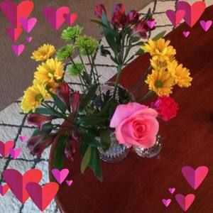 Meet your Posher, Cherrie