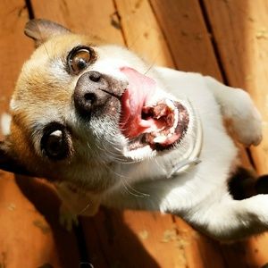 Meet your Posher, James