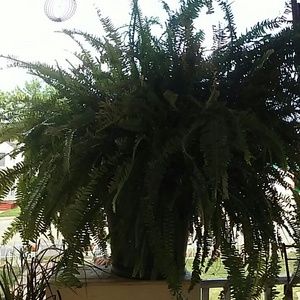 Meet your Posher, Becky