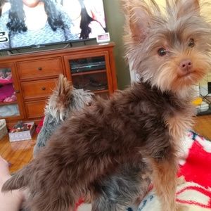 Meet your Posher, Diane