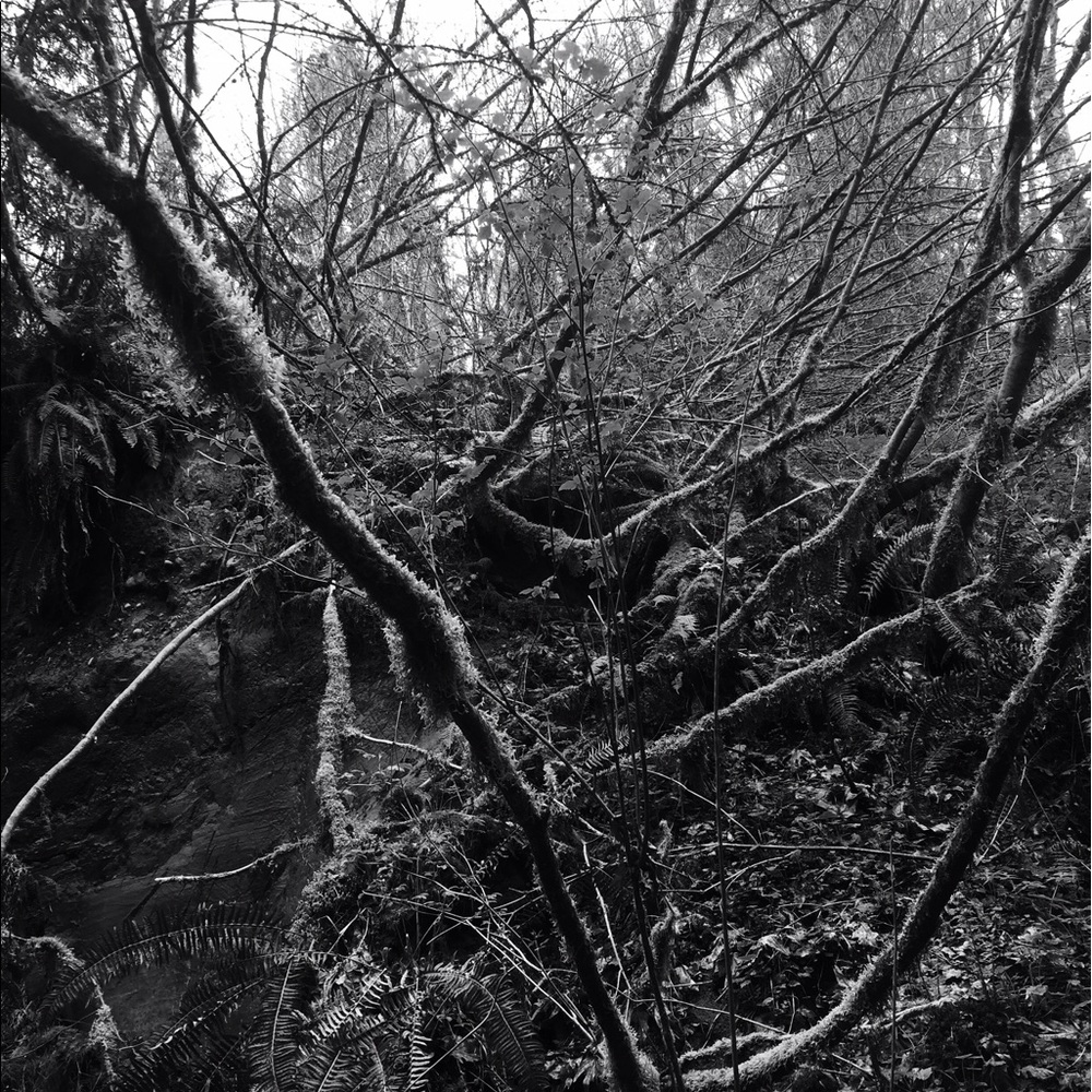 Meet your Posher, Ruth