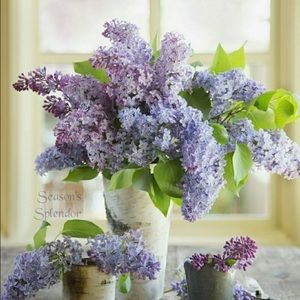 Meet your Posher, Vickie