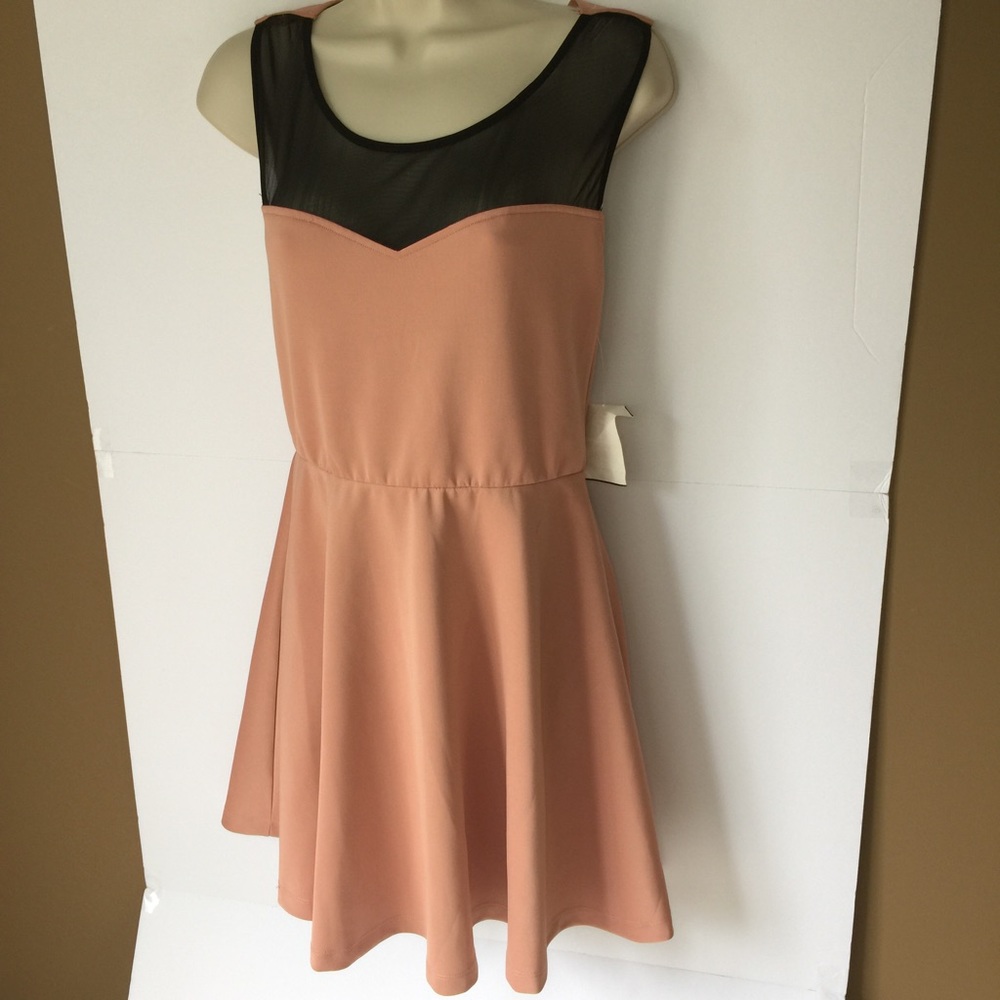 Twelfth & Towne Pink Blush Dress NWT