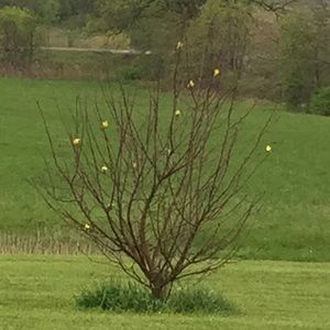 Meet your Posher, April