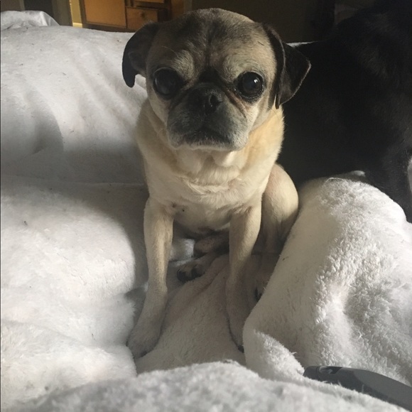 Meet your Posher, Erin - Picture 1 of 1