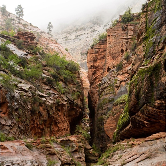 Meet your Posher, Trent—Film, Photo, Writer - Picture 3 of 4