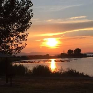 Meet your Posher, Dee ann