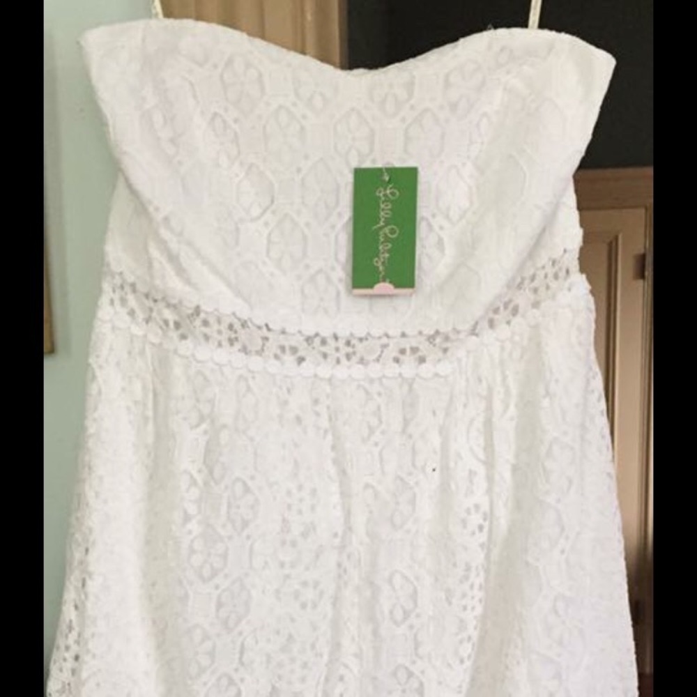 Lilly Pulitzer Brett dress, size large, NWT