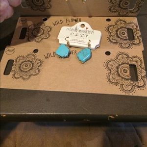 Cute earrings brand new