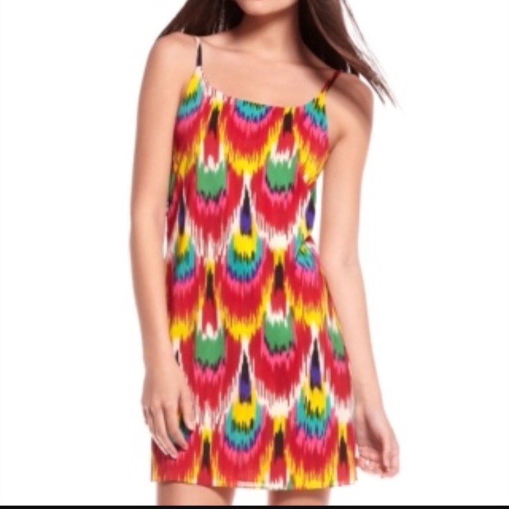 Alice and Olivia dress