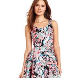 Lilly Pulitzer Gosling Dress NWT!