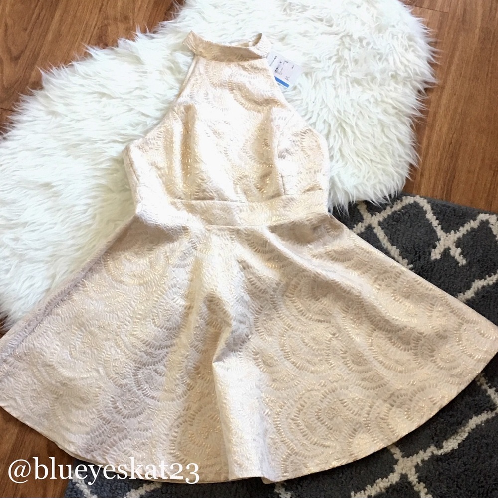 🎉HP🎉NWT Gold Embroidery Halter Skater Dress