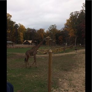 Meet your Posher, Miriam