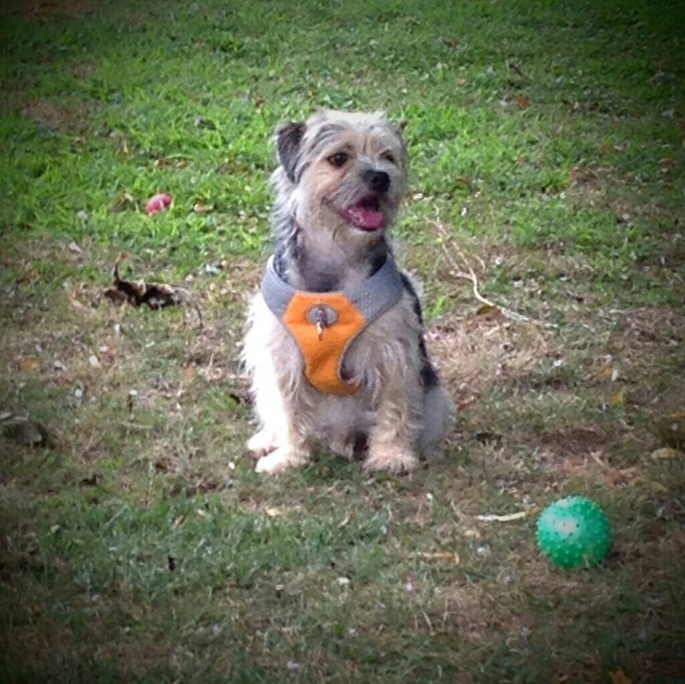 Meet your Posher, Tammy