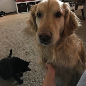 Meet your Posher, Teesha