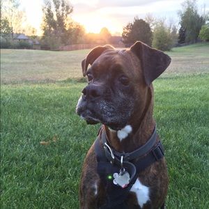 Meet your Posher, Amanda