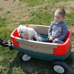 Meet your Posher, Brenda