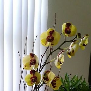 Meet your Posher, Ericka