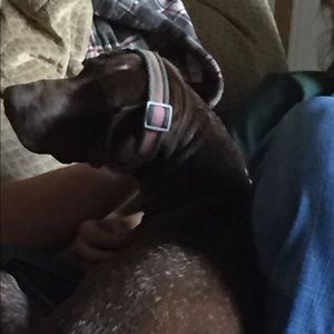 Meet your Posher, Anjyl