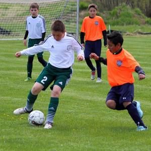 Meet your Posher, Josh