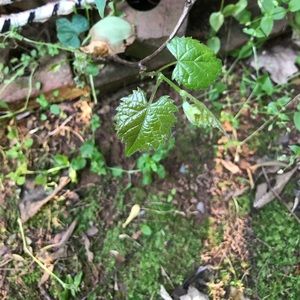 Meet your Posher, Karissa