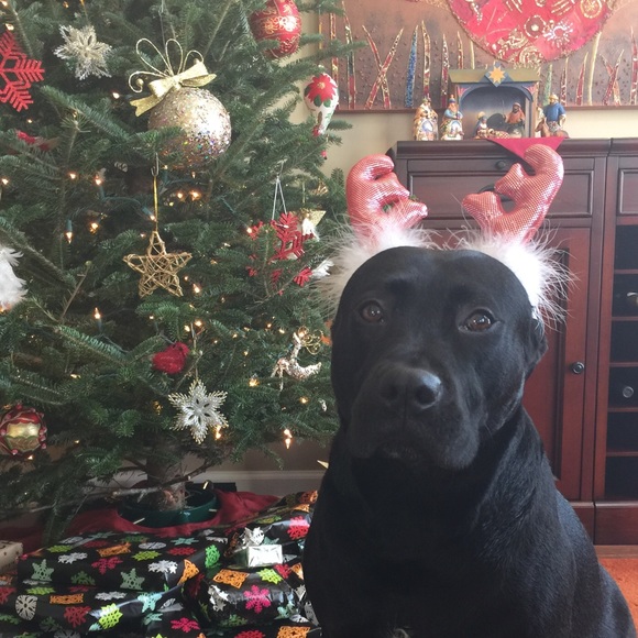 Meet your Posher, Sara - Picture 6 of 6