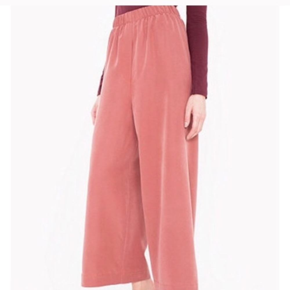 Chicago Ankle American apparel pants