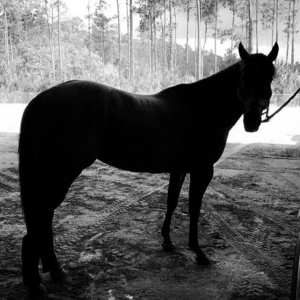 Meet your Posher, Claire