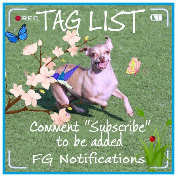 Tag List Accessories - TAG LIST IS FULL! SIGN UP FOR WAITING LIST ONLY! Tag List Accessories - TAG LIST IS FULL! SIGN UP FOR WAITING LIST ONLY!