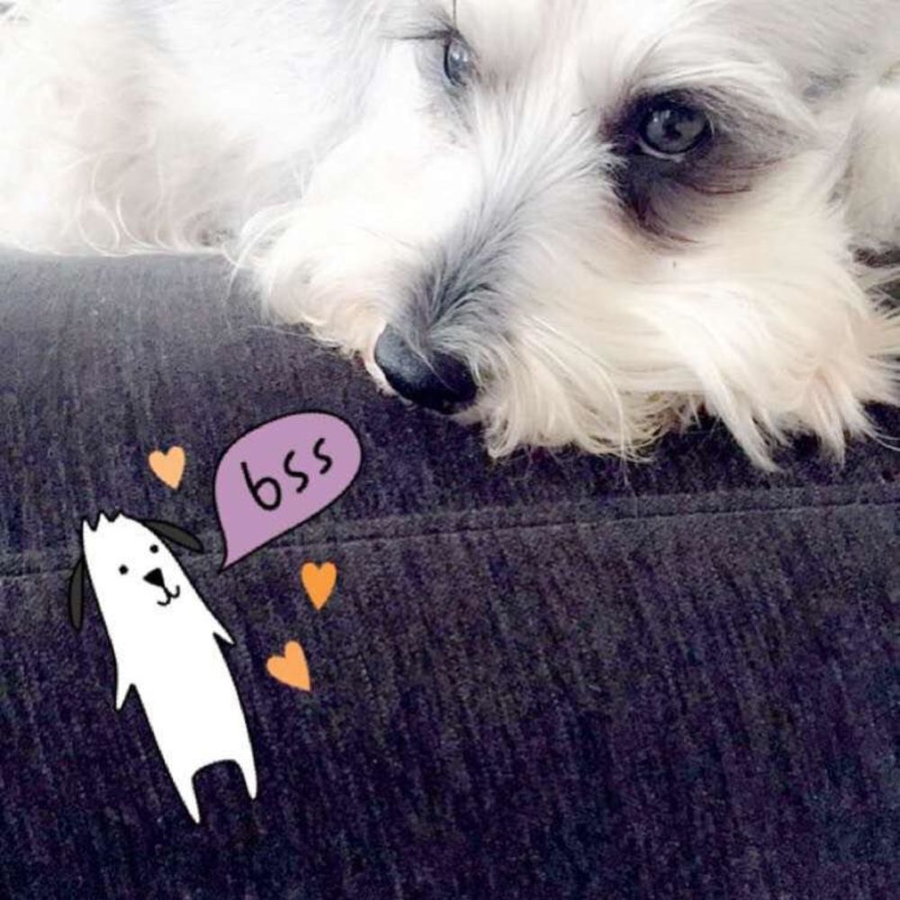 Meet your Posher, Lina m.