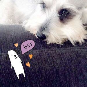 Meet your Posher, Lina m.