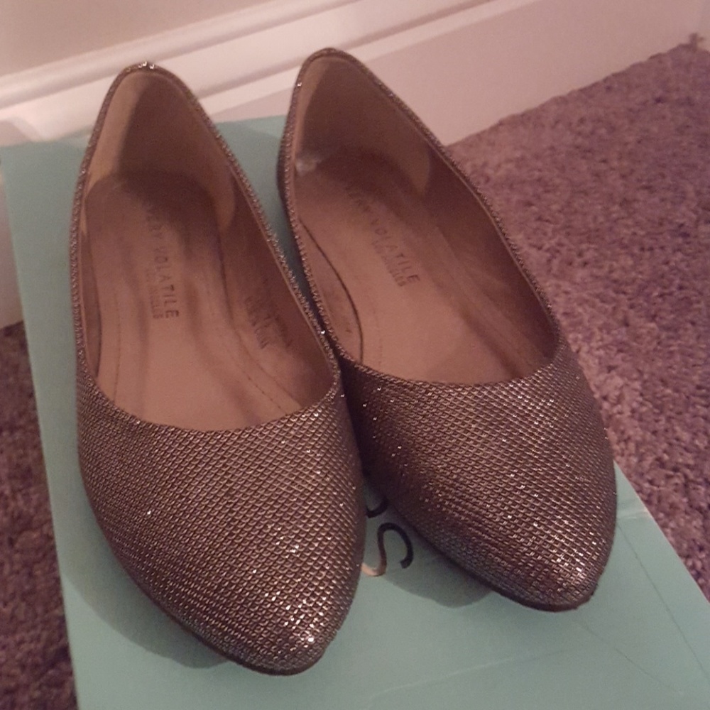Super fun flats shinny sliver never worn