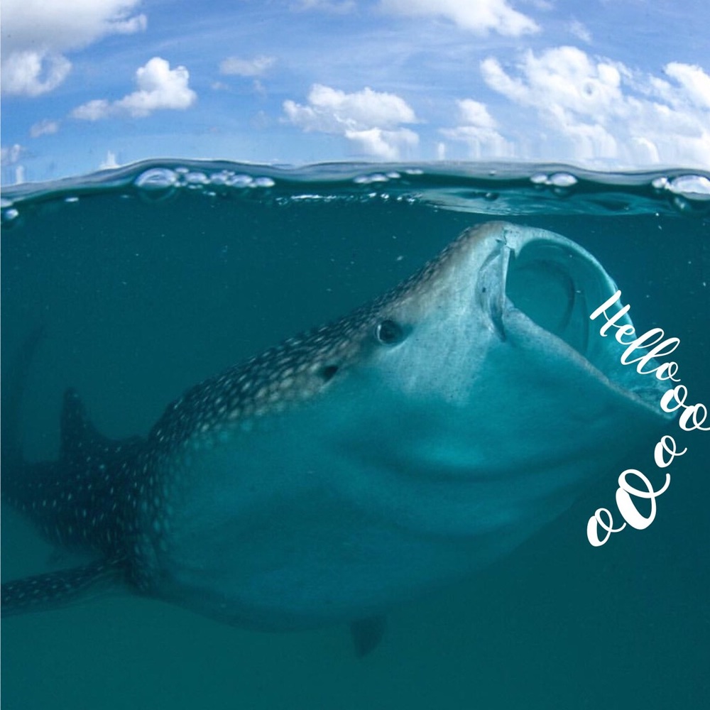 ✨💋 WELCOME TO MY CLOSET 💋✨