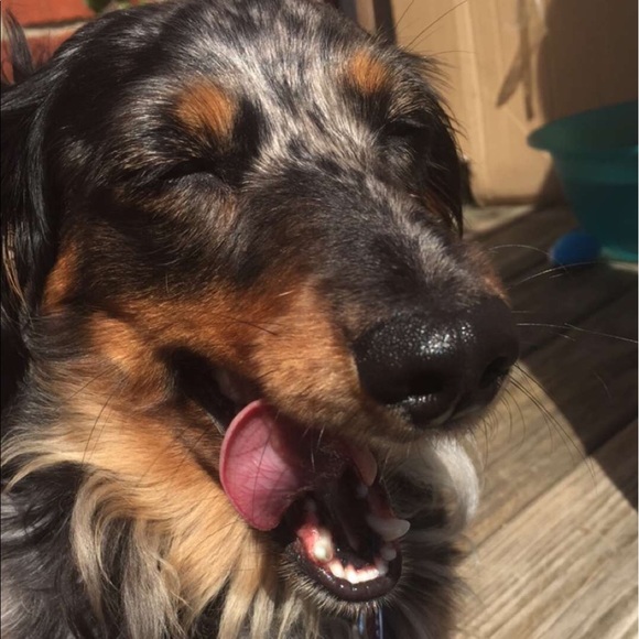 ✨💋 WELCOME TO MY CLOSET 💋✨ - Picture 6 of 7