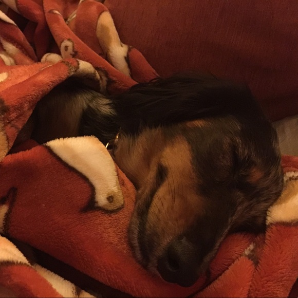 ✨💋 WELCOME TO MY CLOSET 💋✨ - Picture 7 of 7