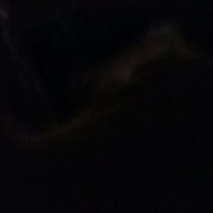 Meet your Posher, Stan