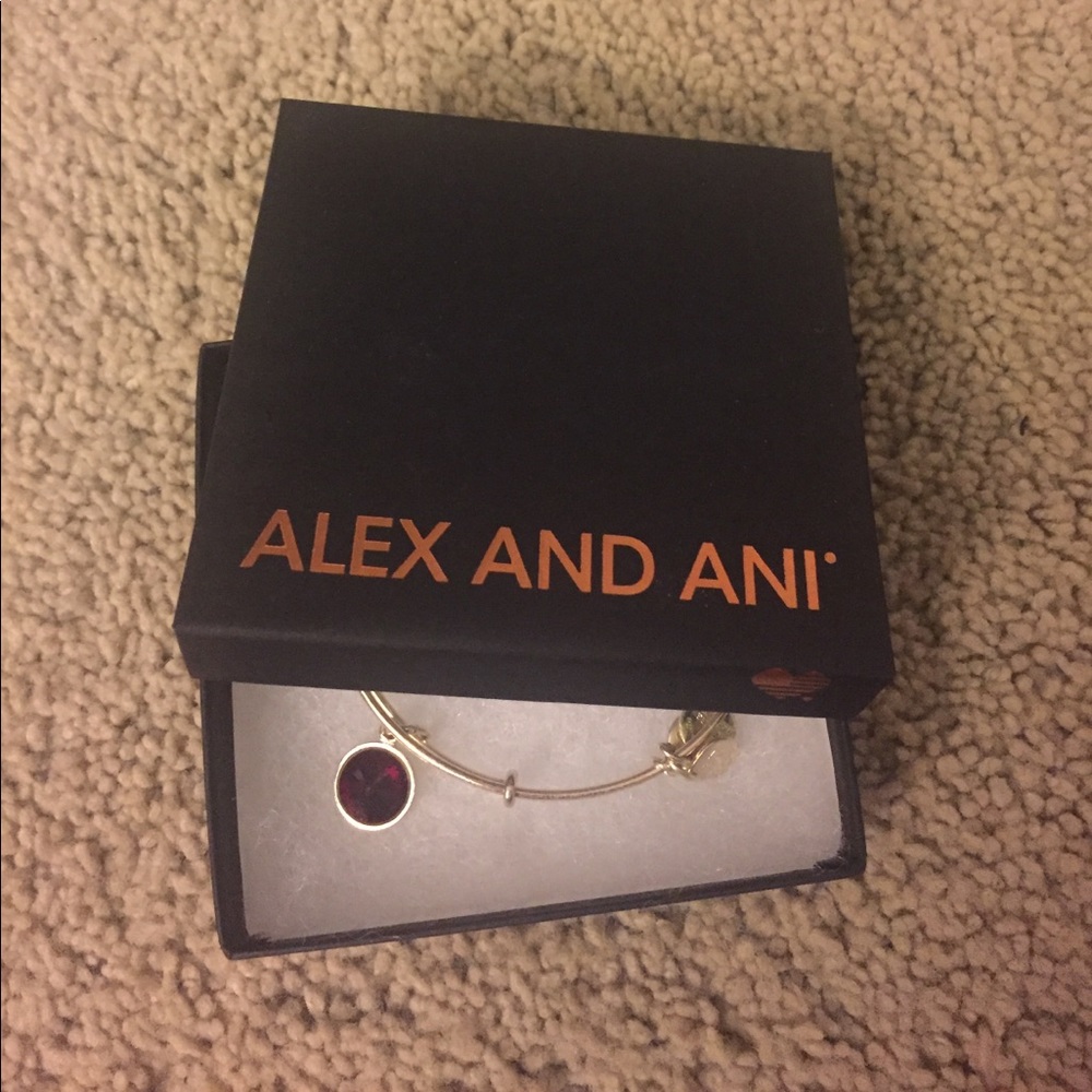 January Alex and Ani