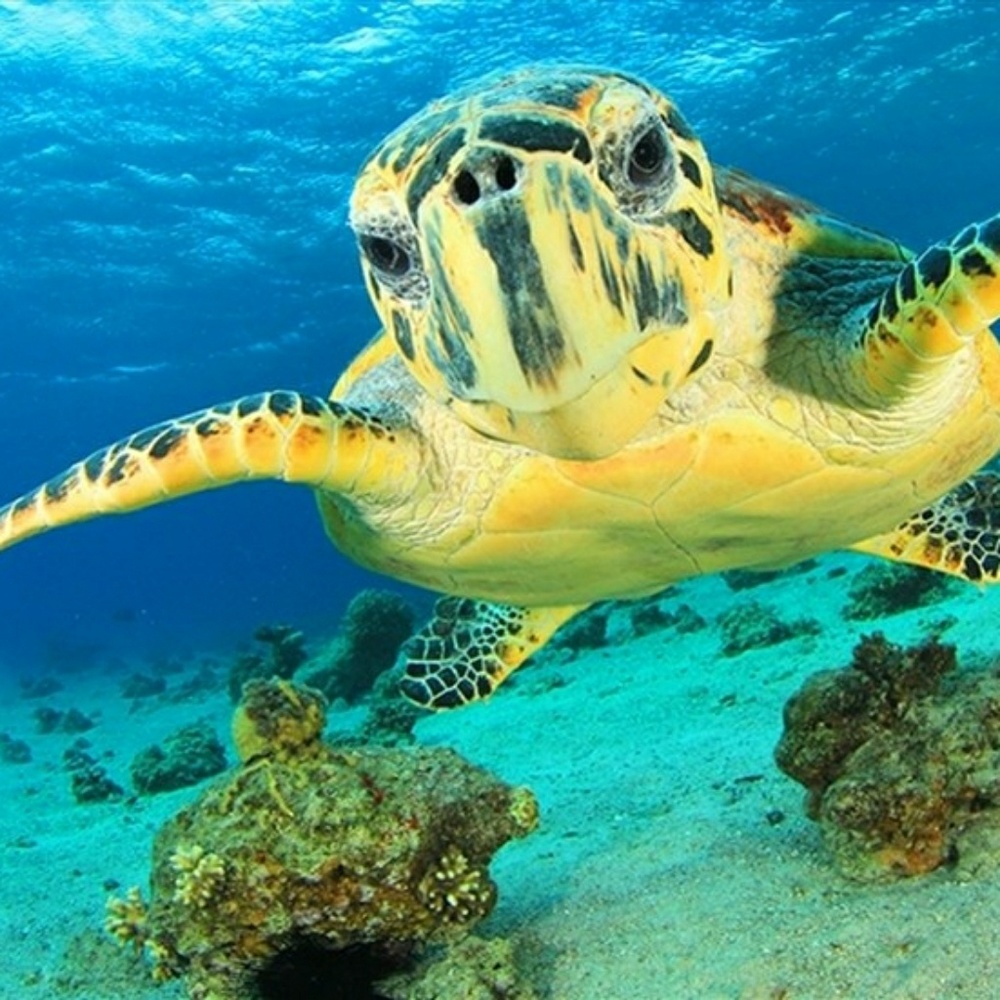 Meet your Posher, Gabriela