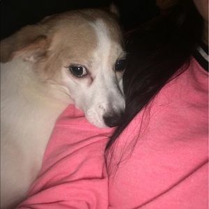 Meet your Posher, Briana